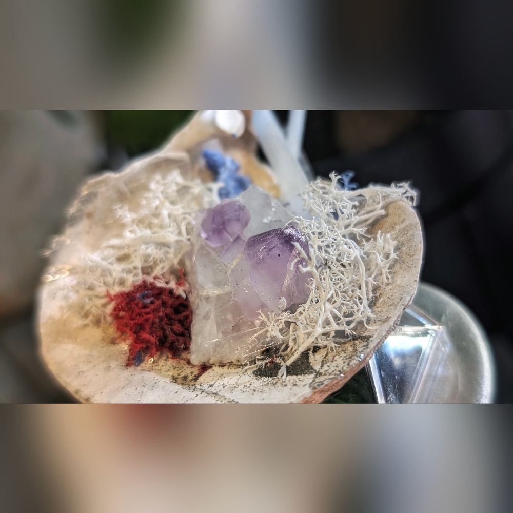 Amethyst & Selenite Crystals & Artificial Moss in Seashell